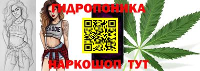 mdpv Усть-Джегута