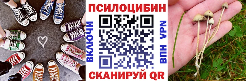 Галлюциногенные грибы MAGIC MUSHROOMS Павлово