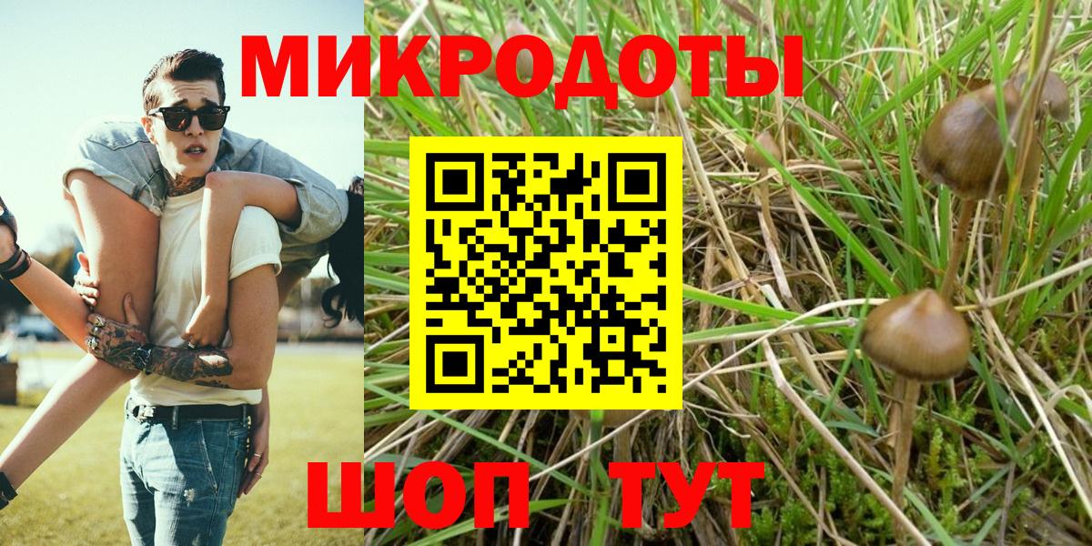 Псилоцибиновые грибы прущие грибы  наркошоп  Павлово  Вход с VPN 